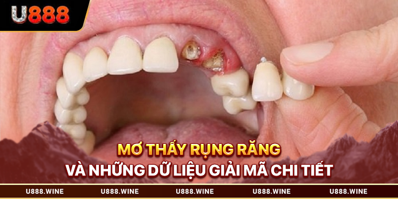 Mơ Thấy Rụng Răng Và Những Dữ Liệu Giải Mã Chi Tiết 2026 Mơ thấy rụng răng